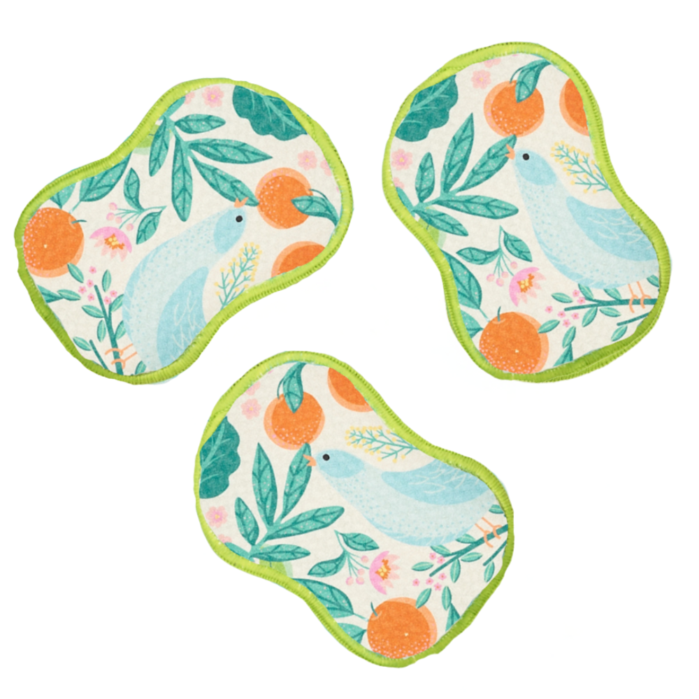 RE:usable Sponges (Set of 3) - MT Partridge Family