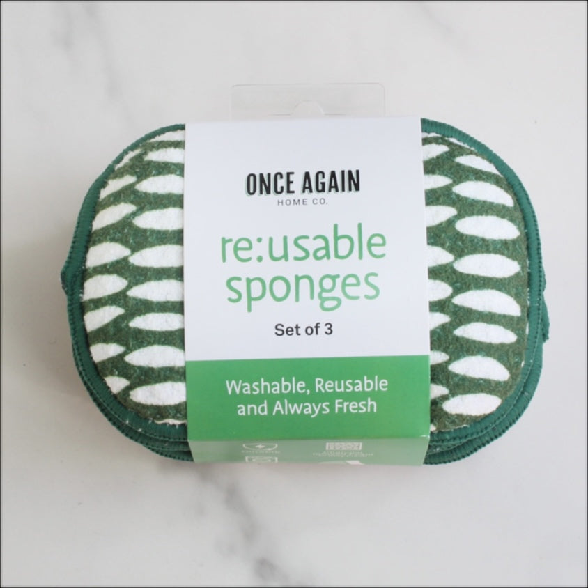 Assorted RE:Usable Sponge (Set of 3) - CORE 12 Once Again Home Co.